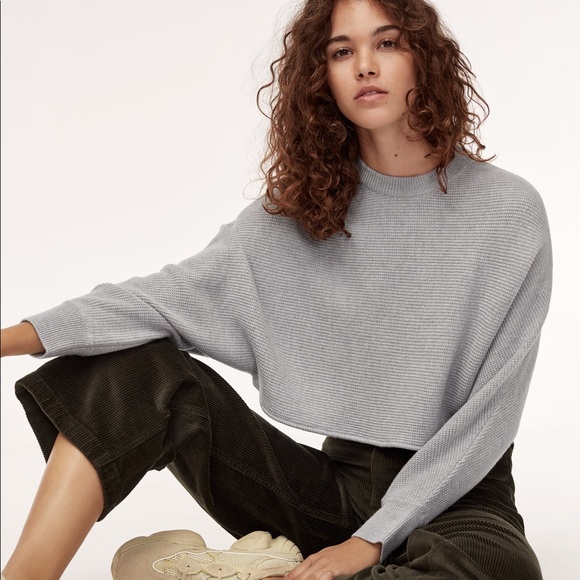 Aritzia Sweaters - Aritzia Wilfred after Grey Lolan Cropped Sweater